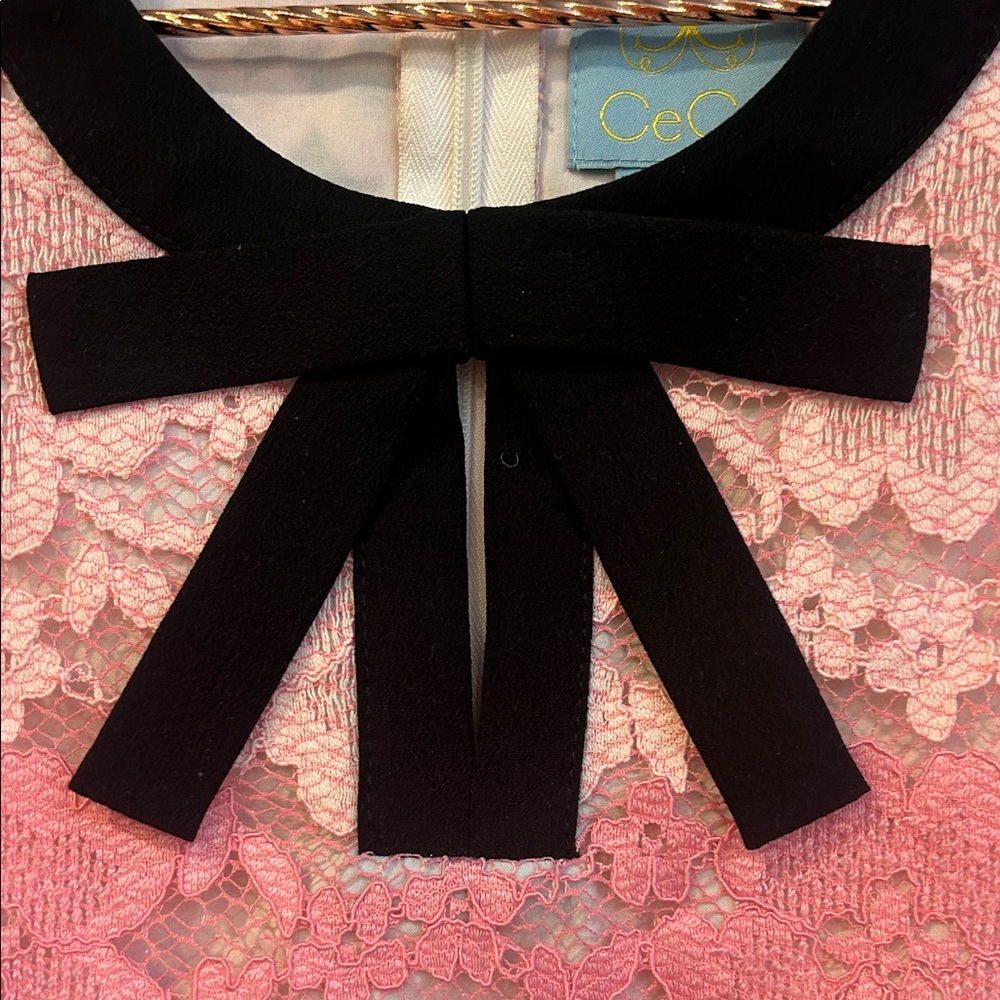CeCe Pink and Black Lace Dress - Picture 3 of 5